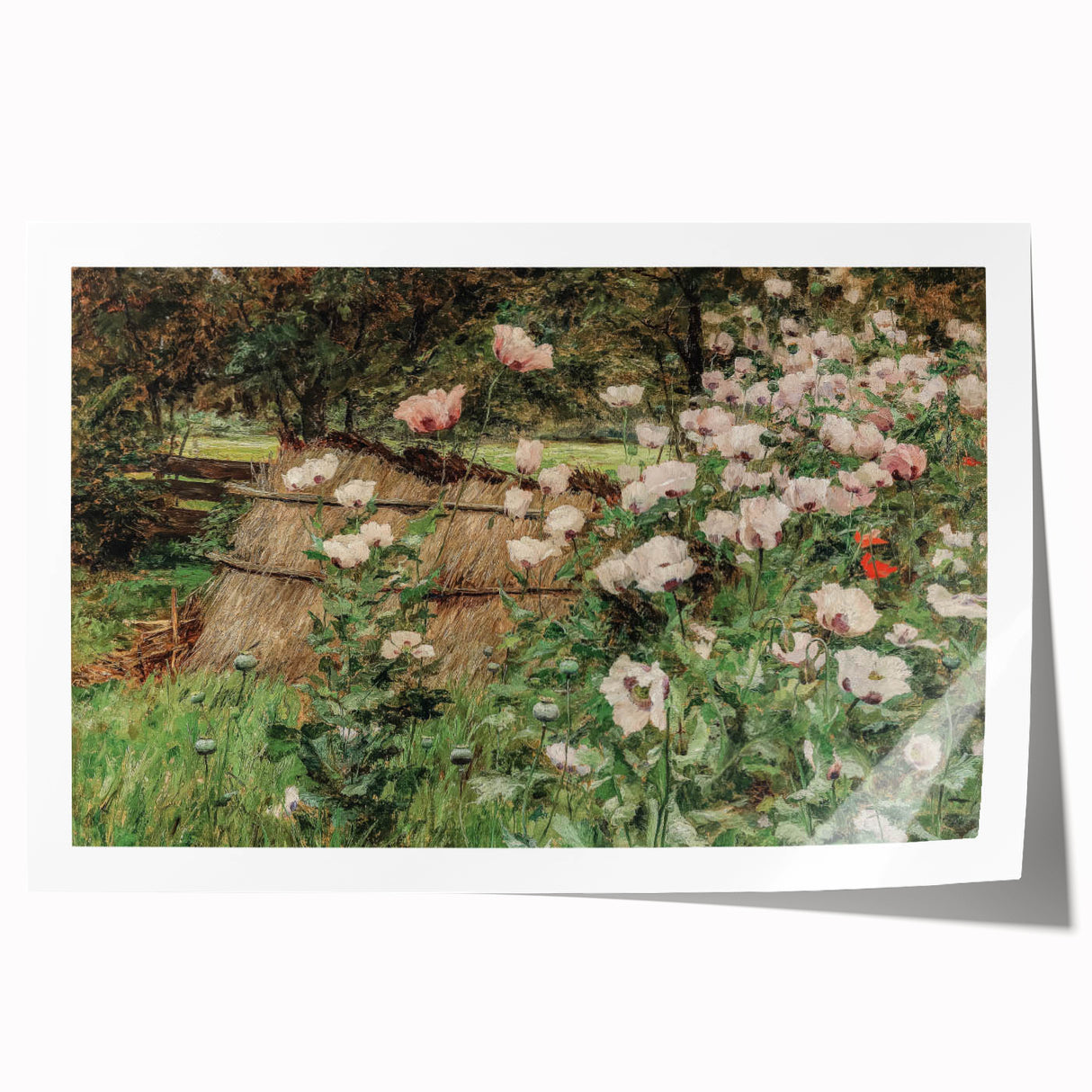 Vintage Poppy Field Art - Antique Floral Landscape Canvas