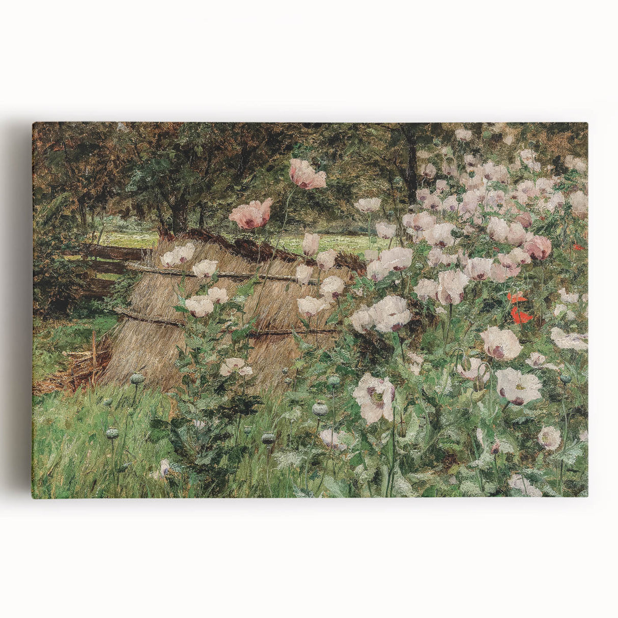 Vintage Poppy Field Art - Antique Floral Landscape Canvas