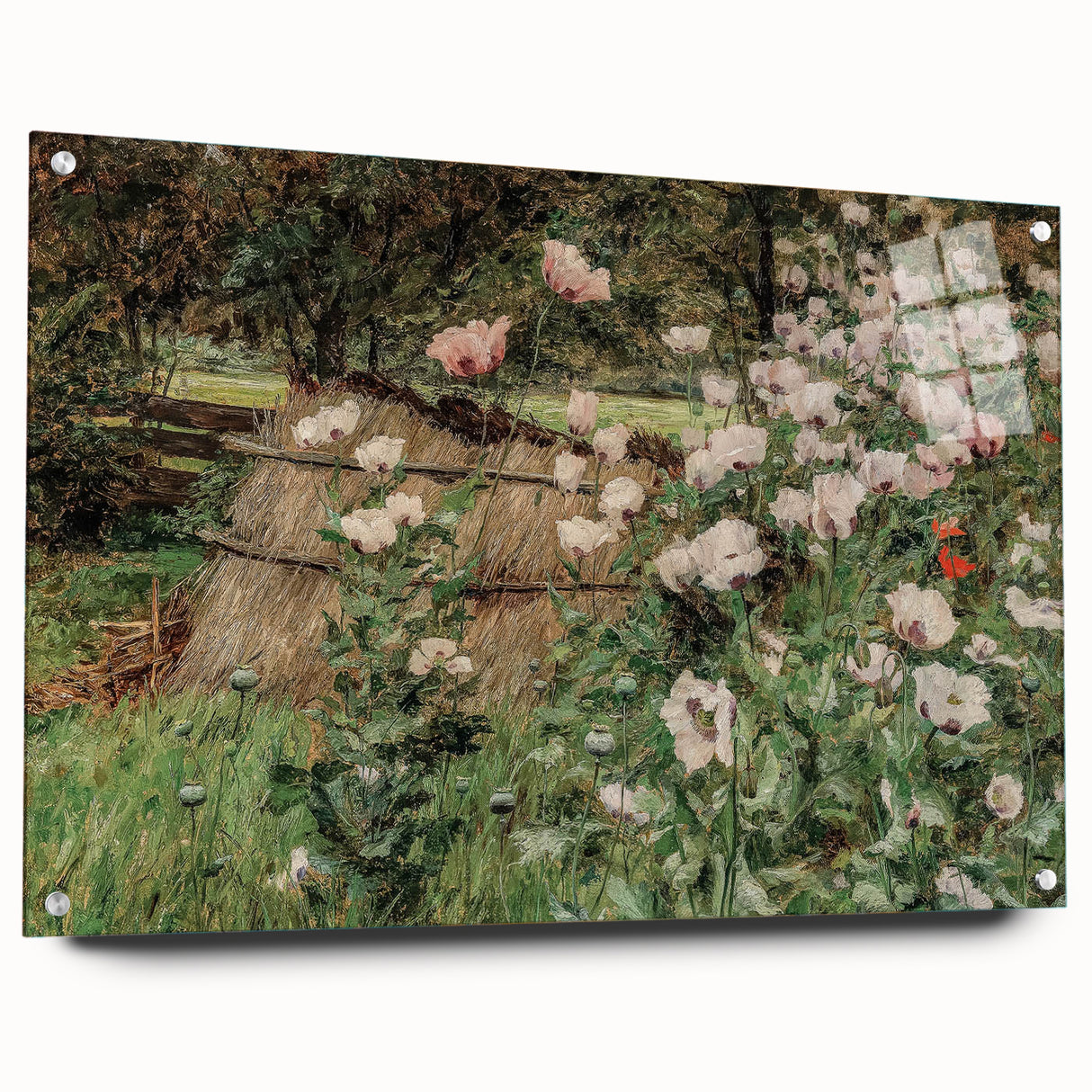 Vintage Poppy Field Art - Antique Floral Landscape Canvas
