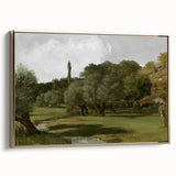Vintage Olive Tree Art - Rustic Countryside Canvas