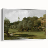 Vintage Olive Tree Art - Rustic Countryside Canvas