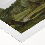 Vintage Olive Tree Art - Rustic Countryside Canvas