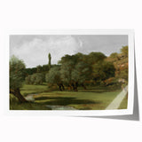 Vintage Olive Tree Art - Rustic Countryside Canvas