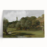 Vintage Olive Tree Art - Rustic Countryside Canvas