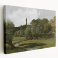 Vintage Olive Tree Art - Rustic Countryside Canvas