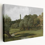 Vintage Olive Tree Art - Rustic Countryside Canvas
