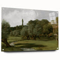 Vintage Olive Tree Art - Rustic Countryside Canvas