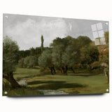 Vintage Olive Tree Art - Rustic Countryside Canvas