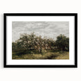 Vintage Orchard Art - Blossom Trees Landscape Canvas