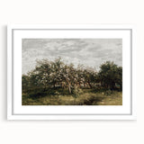 Vintage Orchard Art - Blossom Trees Landscape Canvas
