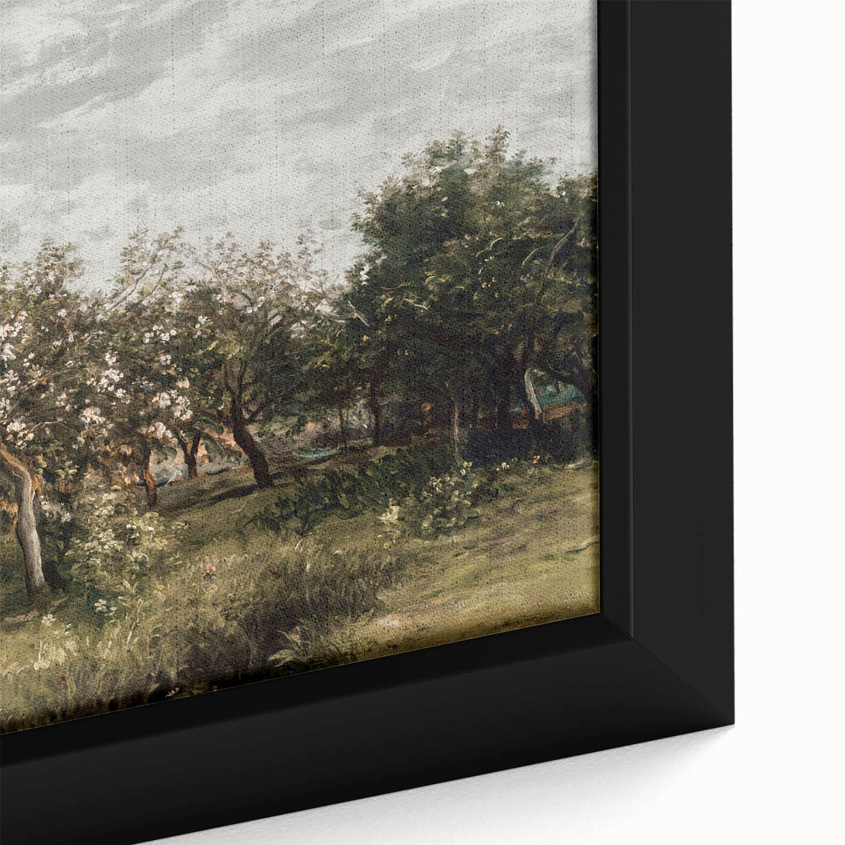 Vintage Orchard Art - Blossom Trees Landscape Canvas