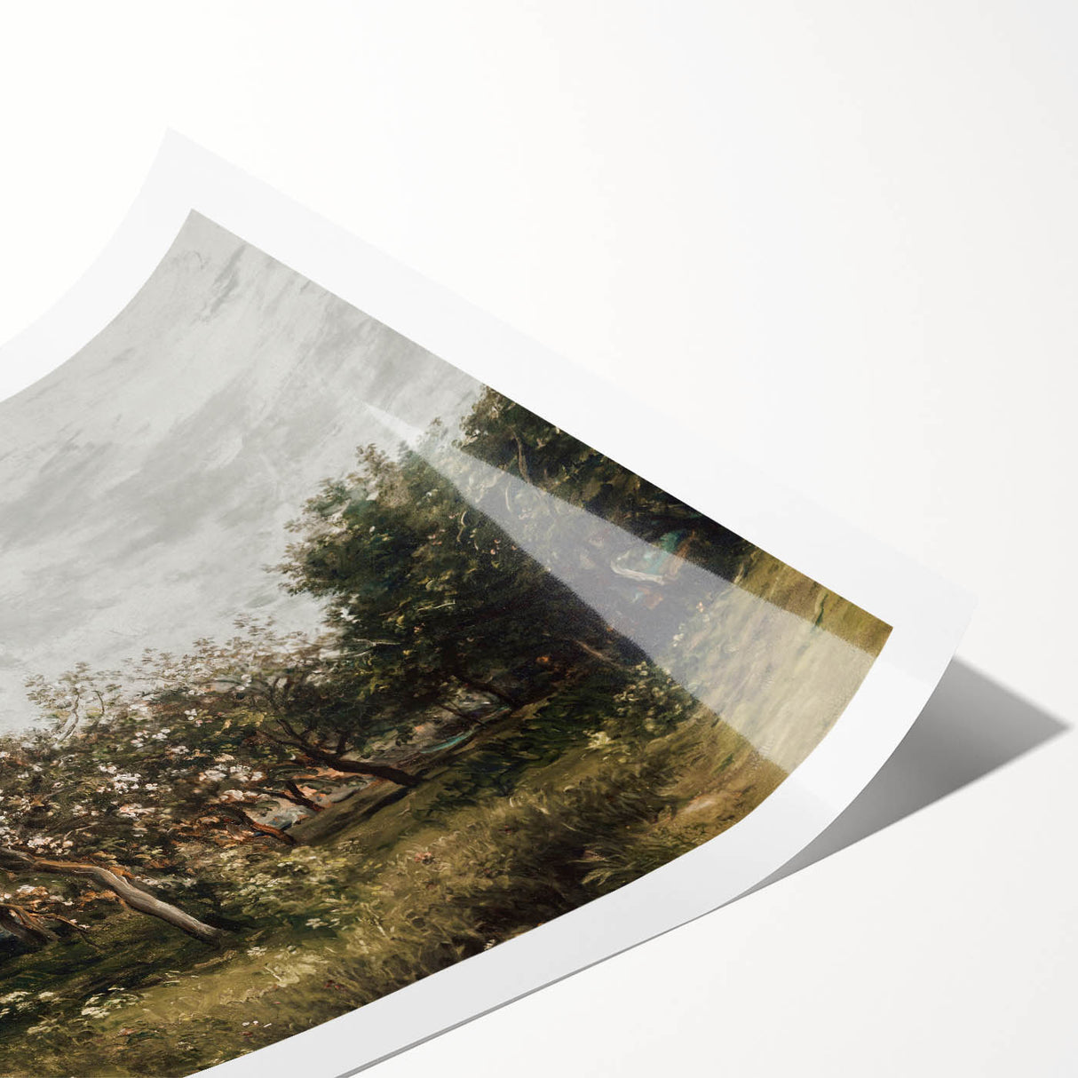 Vintage Orchard Art - Blossom Trees Landscape Canvas