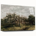 Vintage Orchard Art - Blossom Trees Landscape Canvas
