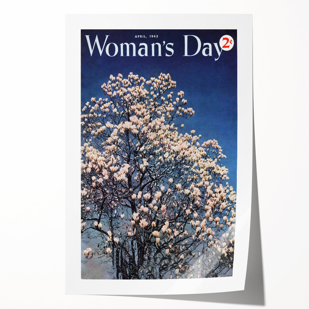 Vintage Magazine Cover Art – Woman’s Day Floral Spring Print