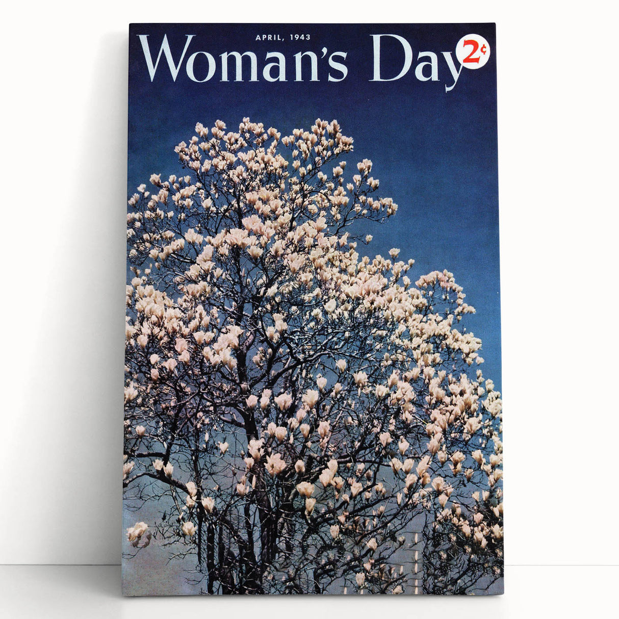 Vintage Magazine Cover Art – Woman’s Day Floral Spring Print