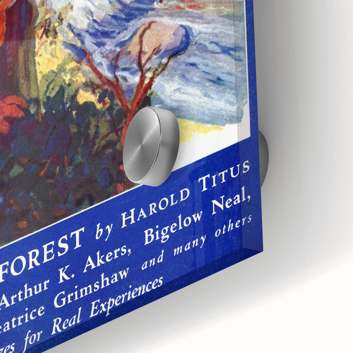 Vintage Magazine Cover Art – Flame in the Forest Retro Print