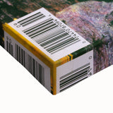 Vintage Magazine Cover Art – Century Collection Retro Print