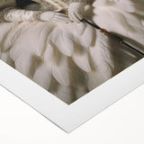 Antique Portrait Prints - Regal Lady in Feathered Gown Canvas Art