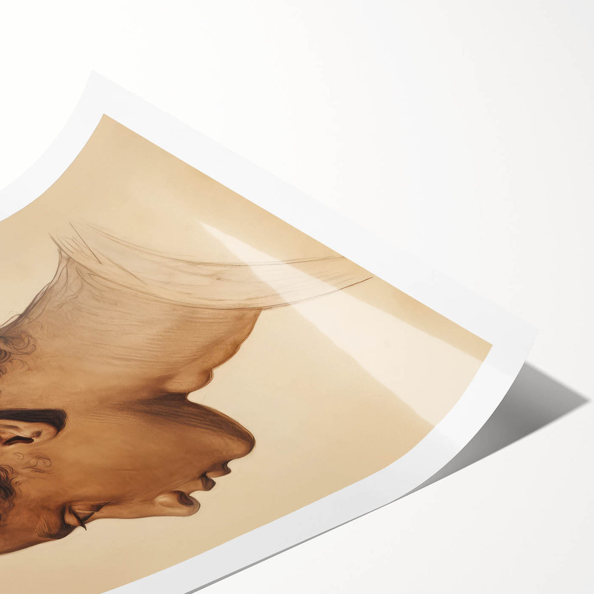 Antique Portrait Prints - Classical Profile Study Vintage Art