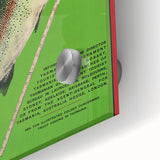 Vintage Tasmania Fishing Poster – Retro Angler’s Paradise Art