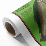 Vintage Tasmania Fishing Poster – Retro Angler’s Paradise Art