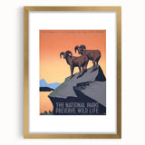 Vintage National Parks Wildlife Poster – Retro Bighorn Sheep Art