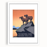 Vintage National Parks Wildlife Poster – Retro Bighorn Sheep Art