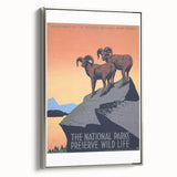 Vintage National Parks Wildlife Poster – Retro Bighorn Sheep Art