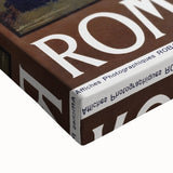 Rome Vintage Travel Poster - Retro Italian Architecture Art