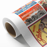 Vintage Travel Poster - Elephant Hotel Collection