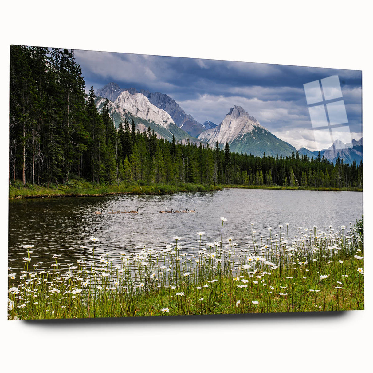 Acrylic glass wall art collection showcasing vibrant wildflower designs, viewed from the side, highlighting its sleek finish and elegant display style. Perfect for home decor enthusiasts seeking nature-inspired art.