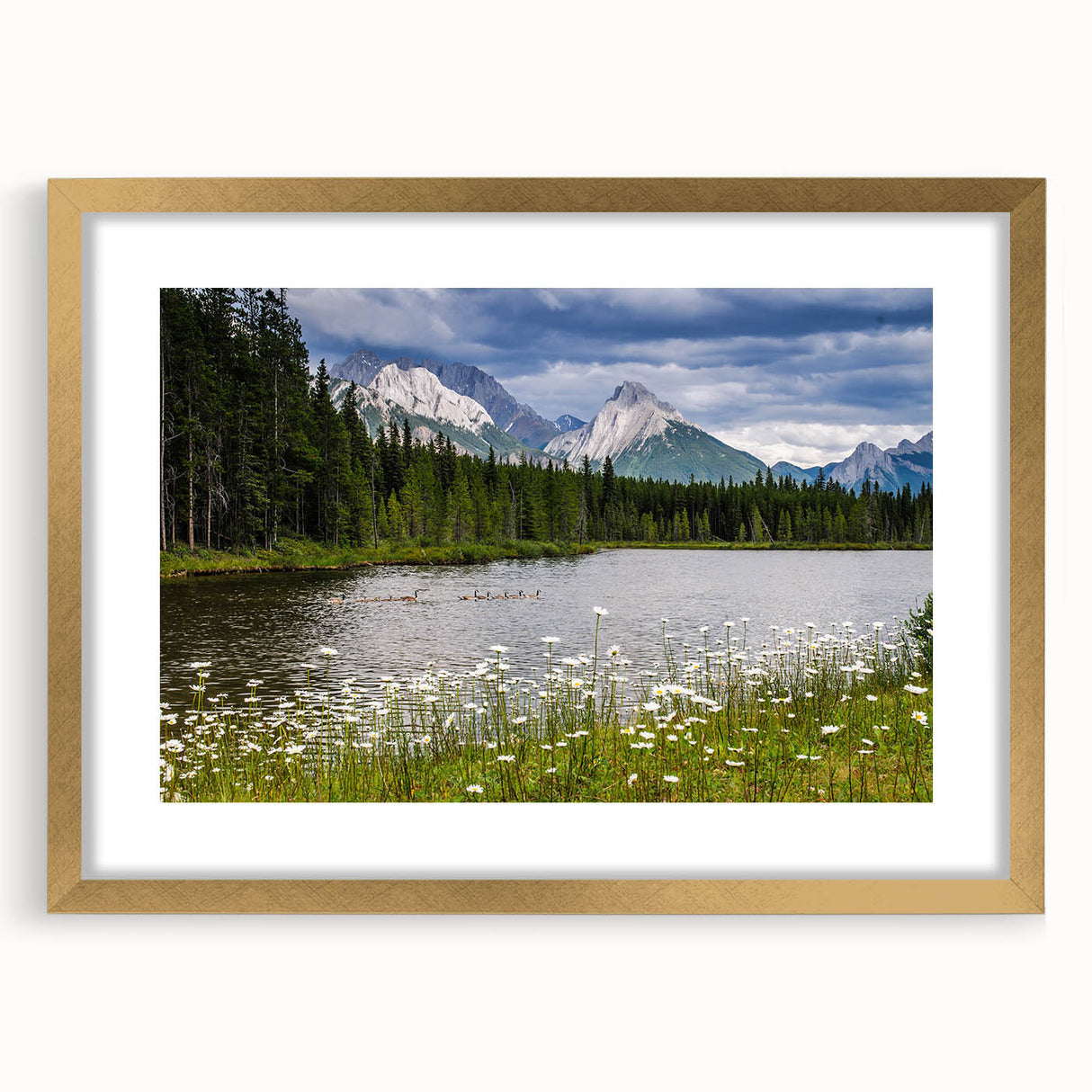 Framed wall art featuring a vibrant wildflower design with a gold mat, perfect for adding a touch of elegance to home decor. The artwork's colorful blooms and intricate details create a cheerful ambiance.
